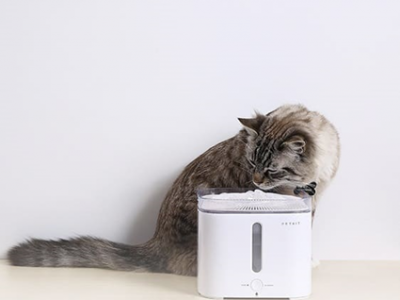 Water dispenser for the pets and interior parts